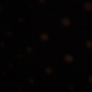 Meet your Posher, Lara